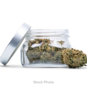 Treesap | IND PG Flower 14g | S | Pineapple Dream