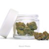 Treesap | IND PG Flower 14g | H | Grape Limeade
